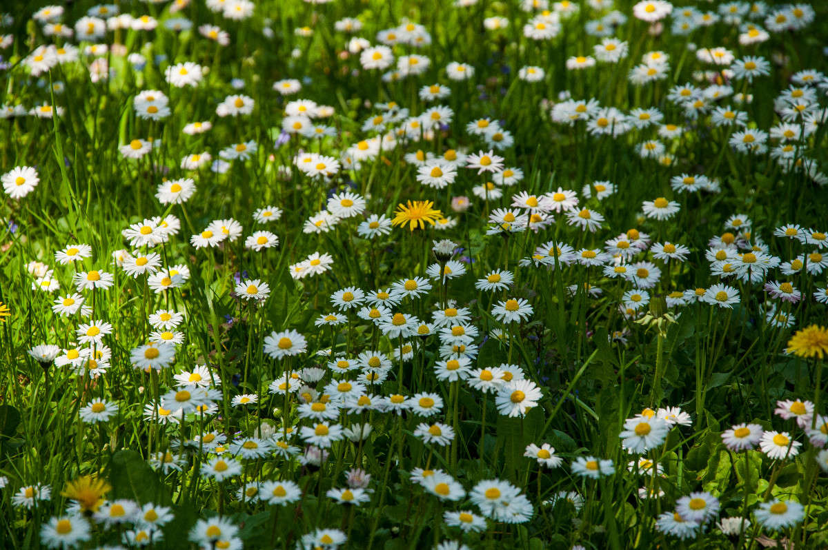 ������� ����� �������� ���������� �� PhotoGeek.ru #������ ��� �������