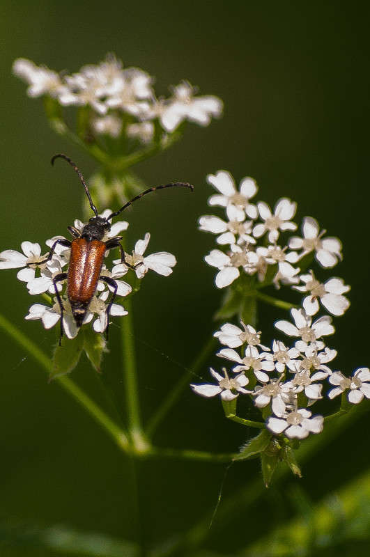 �������� ����� �������� ���������� �� PhotoGeek.ru #������ ��� �������