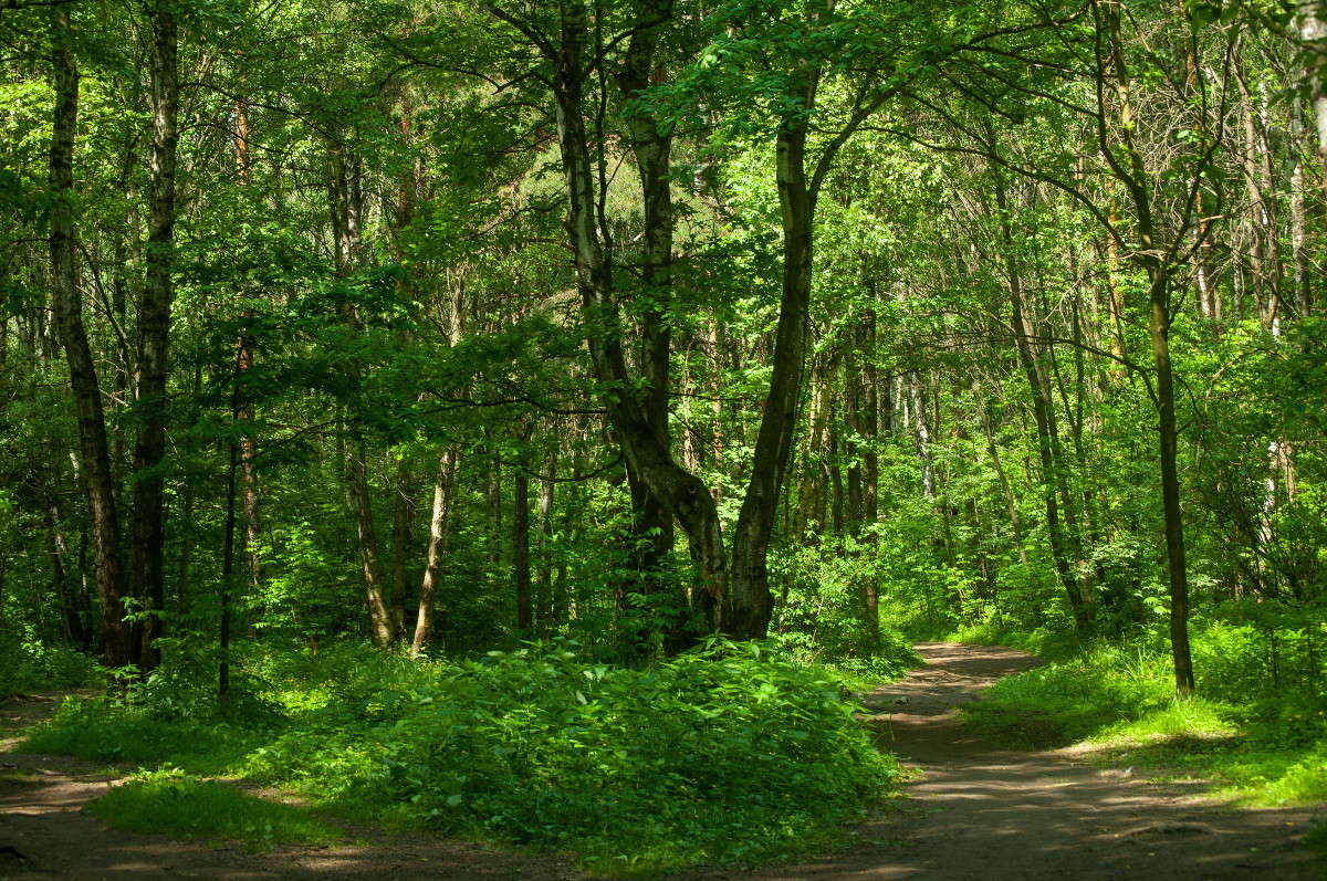 � � �������� ����.... ����� �������� ���������� �� PhotoGeek.ru #������ ��� �������