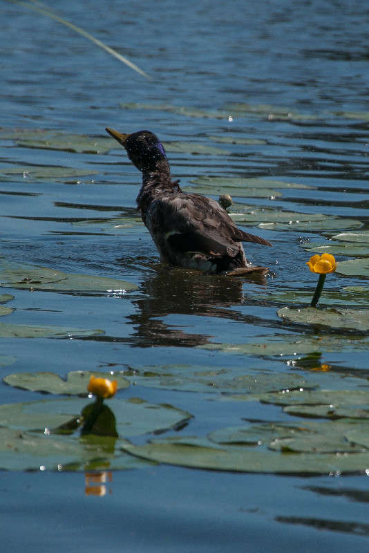 � ������ ����� ����� �������� ���������� �� PhotoGeek.ru #�������� ��� #������ ��� ������� #����� ��� ��� ��������� #����� ��������������