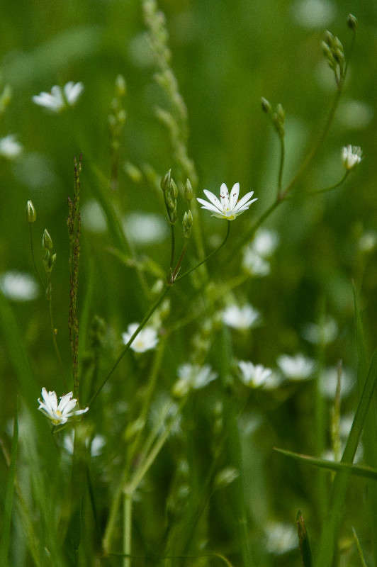 ����� ��� ������ ����� �������� ���������� �� PhotoGeek.ru #������ ��� ������� #����� ��������������