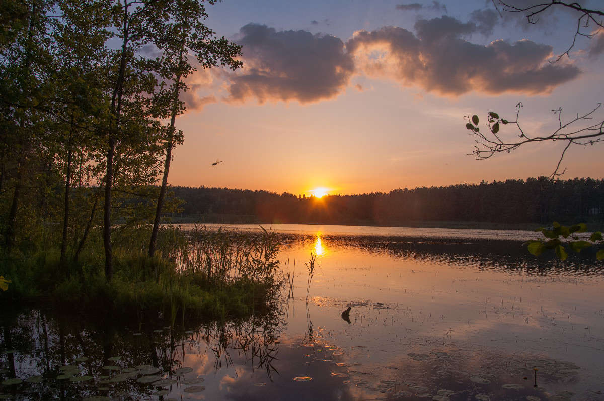 ����� �� ����� ������� ����� �������� ���������� �� PhotoGeek.ru #������ ��� ������� #����� ��������������