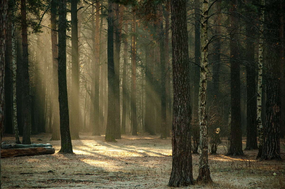 ���� � ���� ����� �������� ���������� �� PhotoGeek.ru #������ ��� �������