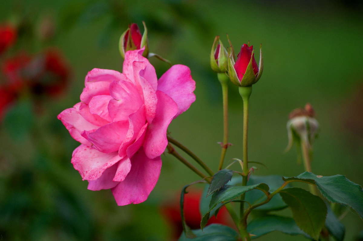 ��� ��� ����� �������� ���������� �� PhotoGeek.ru #������ ��� ������� #����� ��������������