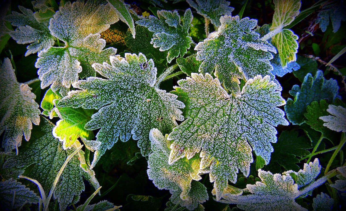 �����������... ����� ������  �������� �� PhotoGeek.ru #������ ��� �������