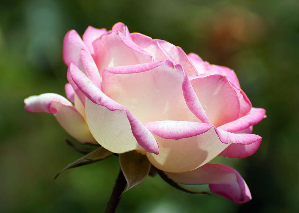 --- ����� ������  �������� �� PhotoGeek.ru #������ ��� �������