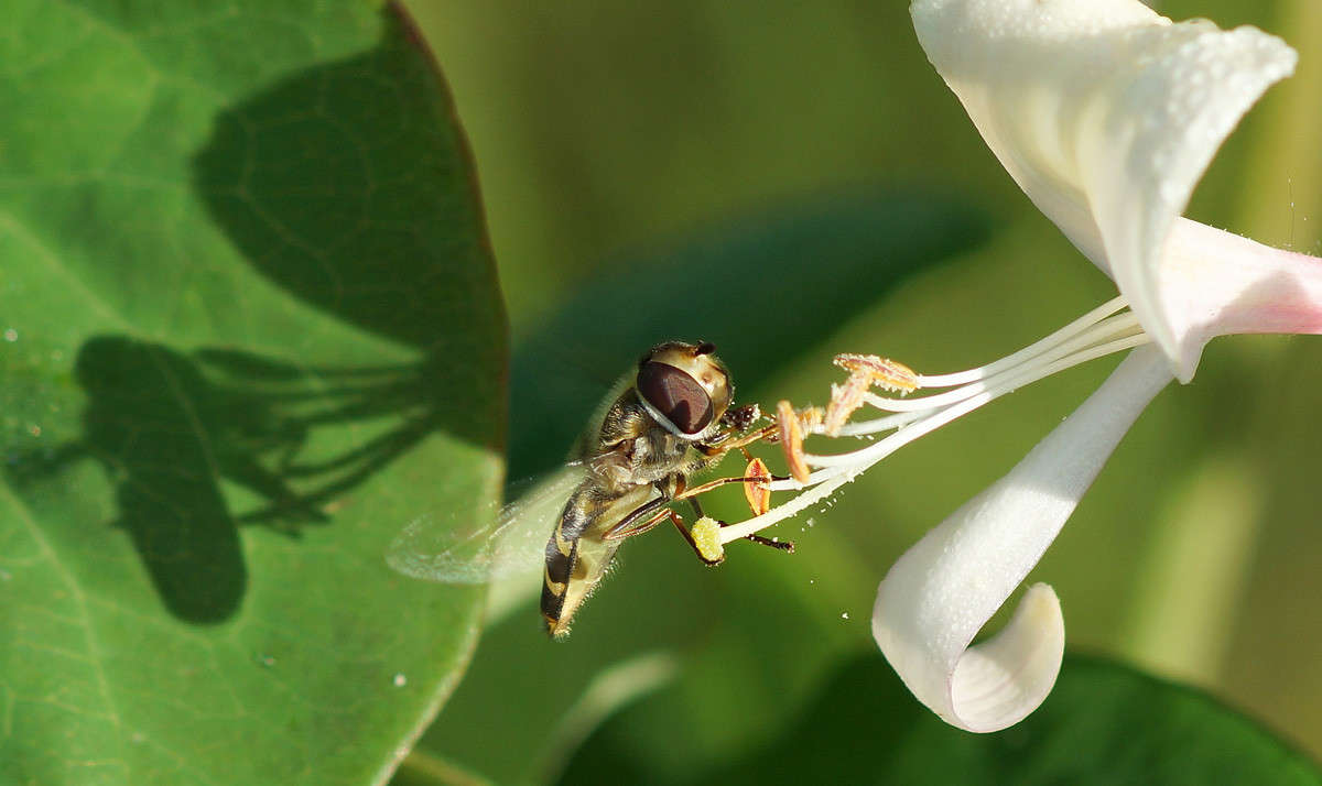 ������... ����� ������  �������� �� PhotoGeek.ru #�����