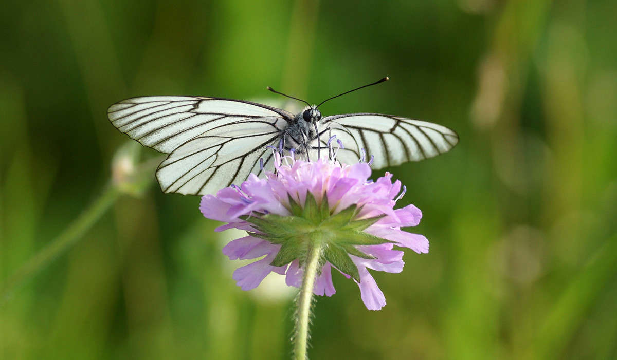 === ����� ������  �������� �� PhotoGeek.ru #�����