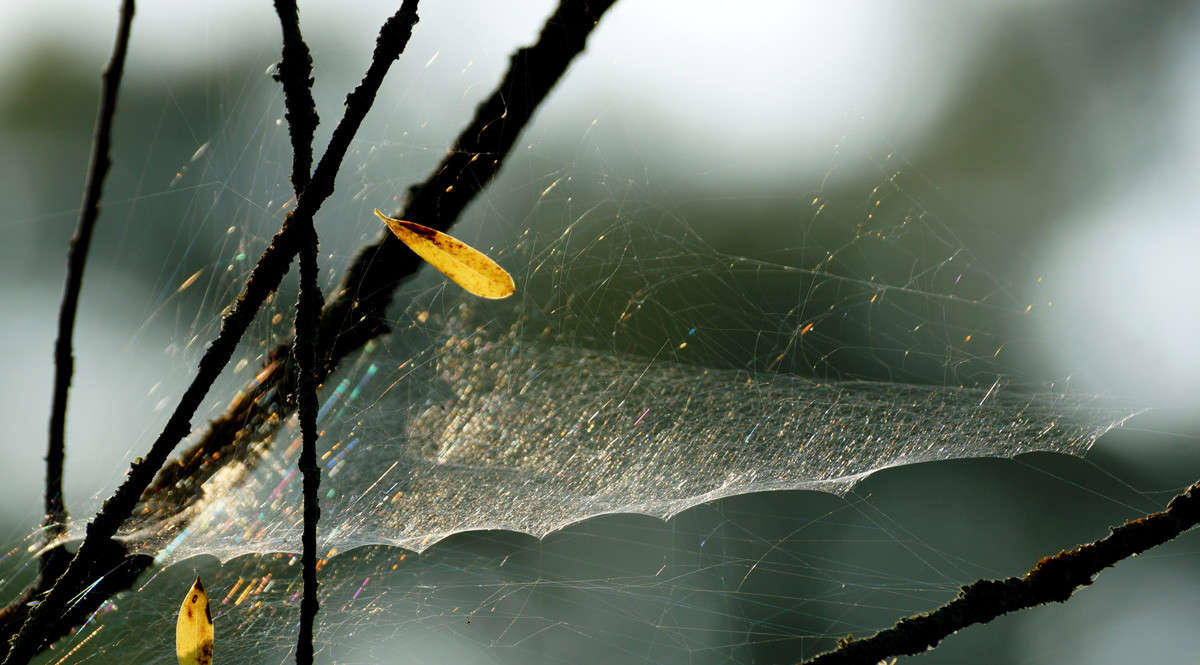 �������. ����� ������  �������� �� PhotoGeek.ru #������ ��� �������