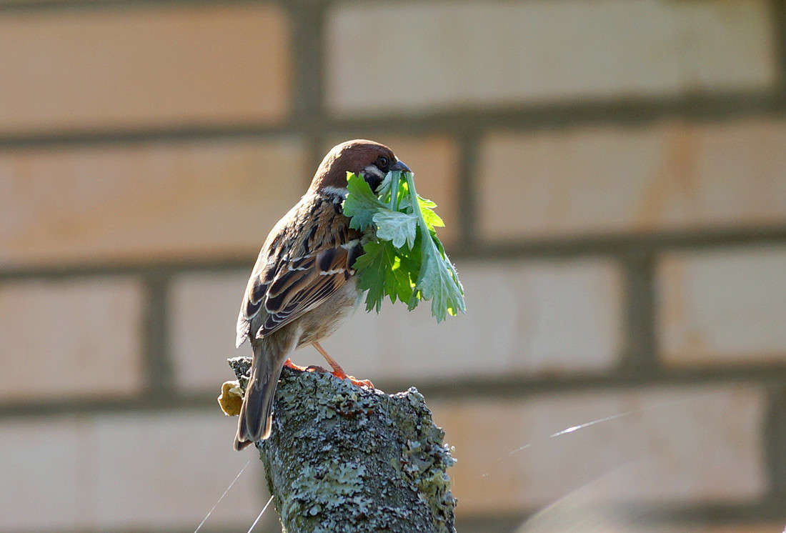 ����� ��� �������... ����� ������  �������� �� PhotoGeek.ru #�������� ���