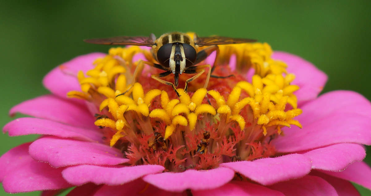 === ����� ������  �������� �� PhotoGeek.ru #�����