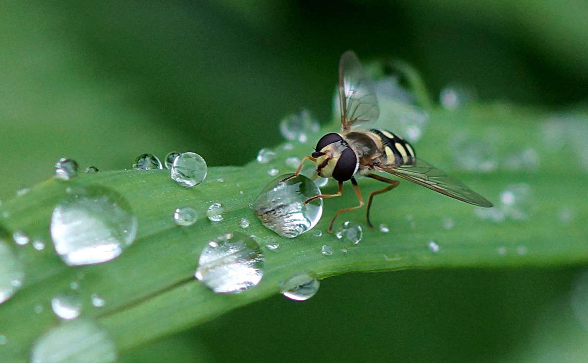 ���� ��� ���������,�����... ����� ������  �������� �� PhotoGeek.ru #�����