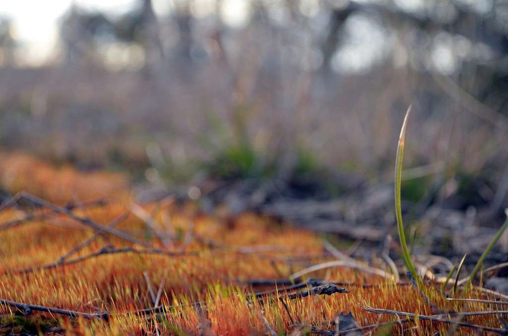 ... ����� ������ ������� �� PhotoGeek.ru #�����