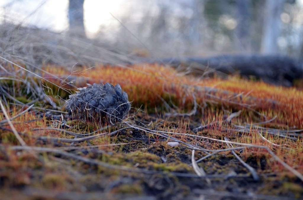 ... ����� ������ ������� �� PhotoGeek.ru #�����