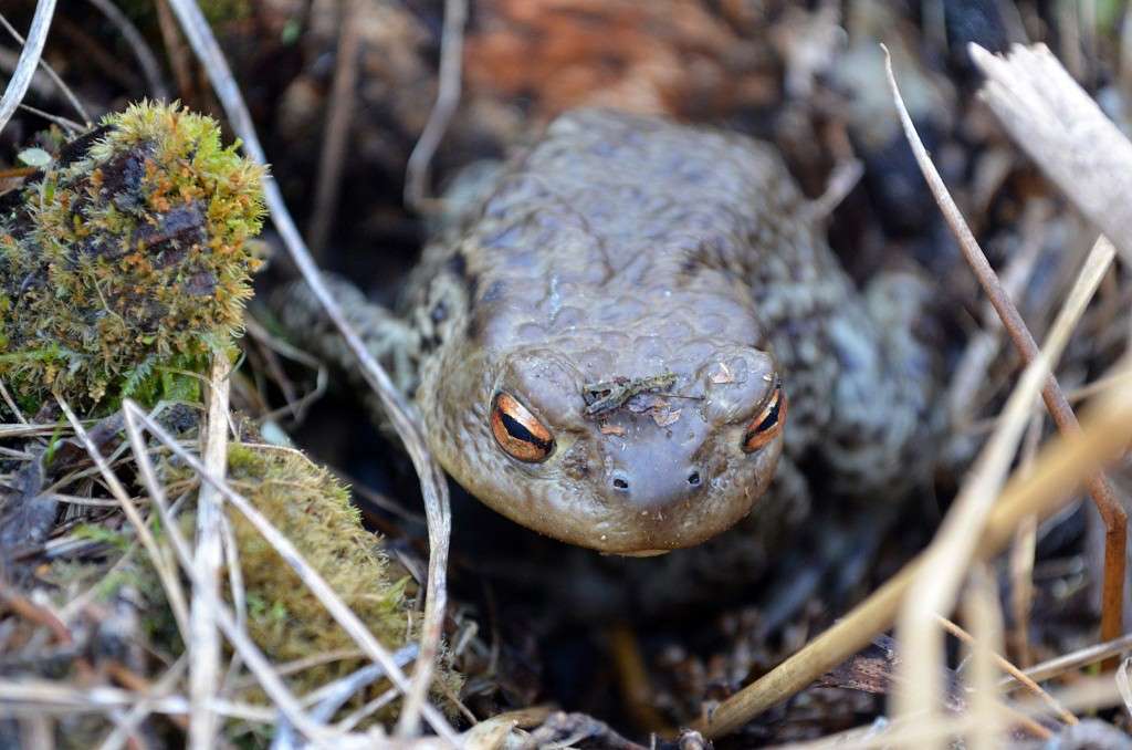 ... ����� ������ ������� �� PhotoGeek.ru #�������� ���