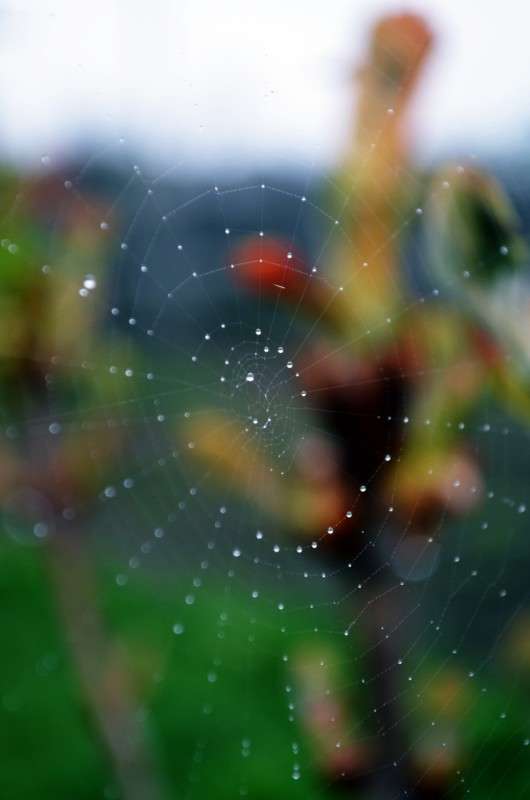 ... ����� ������ ������� �� PhotoGeek.ru #����� #�������� ��� #������ ��� �������