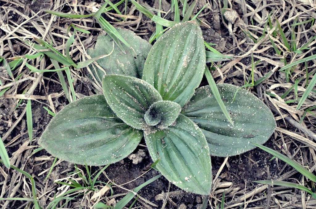 ... ����� ������ ������� �� PhotoGeek.ru #����� #������ ��� �������