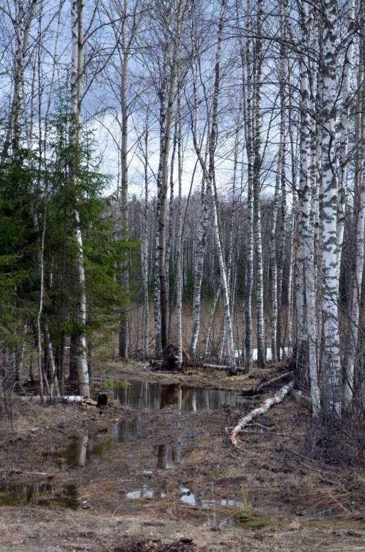 ... ����� ������ ������� �� PhotoGeek.ru #������ ��� �������