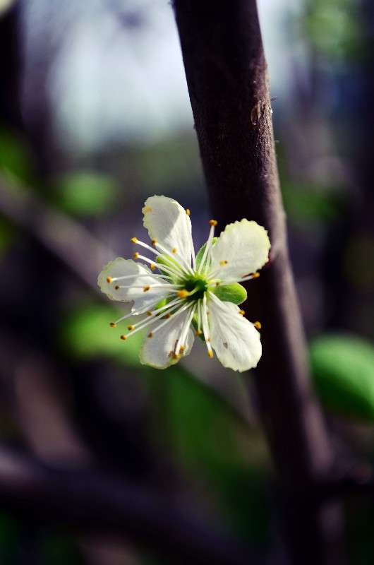 ... ����� ������ ������� �� PhotoGeek.ru #����� #�������� ���