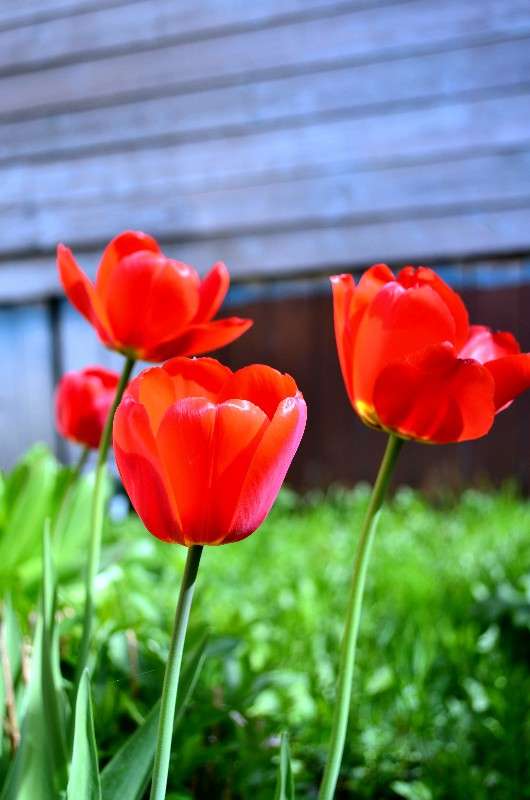 ... ����� ������ ������� �� PhotoGeek.ru #����� #������ ��� �������