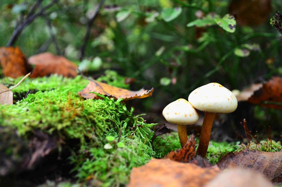 ... ����� ������ ������� �� PhotoGeek.ru #����� #������ ��� ������� #����� ��������������