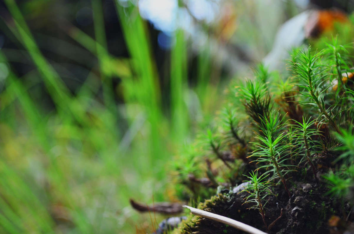 ... ����� ������ ������� �� PhotoGeek.ru #����� #�������� ��� #����� ��������������