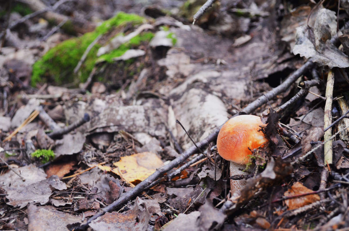 ... ����� ������ ������� �� PhotoGeek.ru #����� #������ ��� ������� #����� ��������������