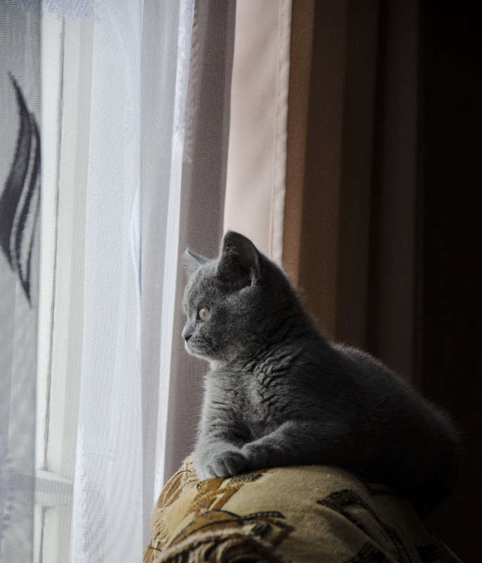 �����. ����� ������ ������� �� PhotoGeek.ru #�������� ��� #�������� ���