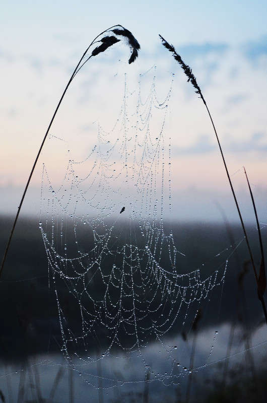 �� ��������... ����� ������ ������� �� PhotoGeek.ru #����� #������ ��� �������