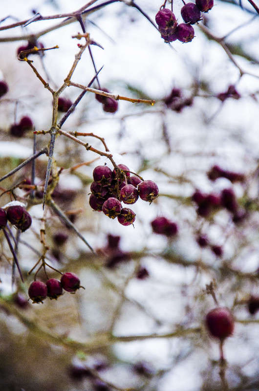 ������ �����. ����� ������ ������� �� PhotoGeek.ru #������ ��� ������� #���������. #����� ��������������