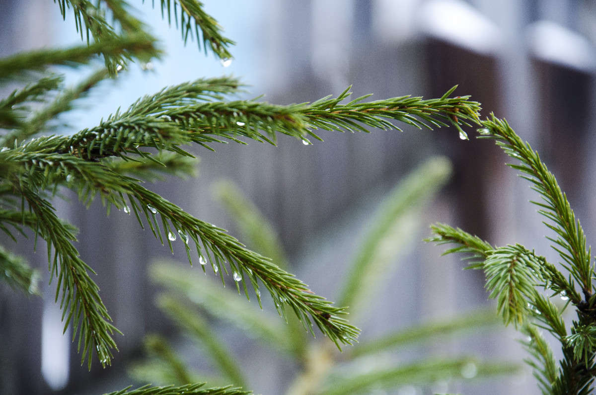 ����� � �������. ����� ������ ������� �� PhotoGeek.ru #����� #������ ��� ������� #����� ��������������