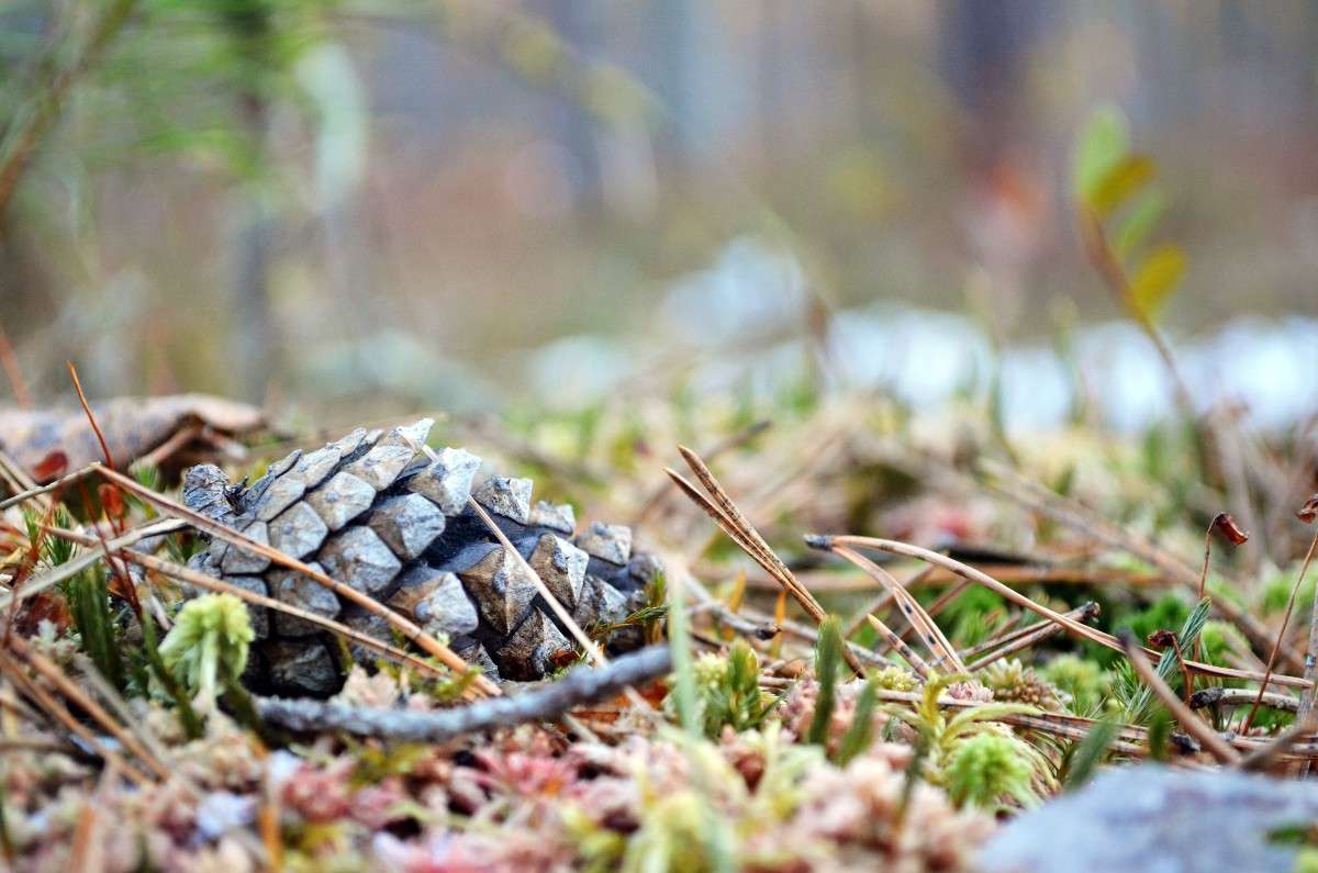 ... ����� ������ ������� �� PhotoGeek.ru #����� #������ ��� �������