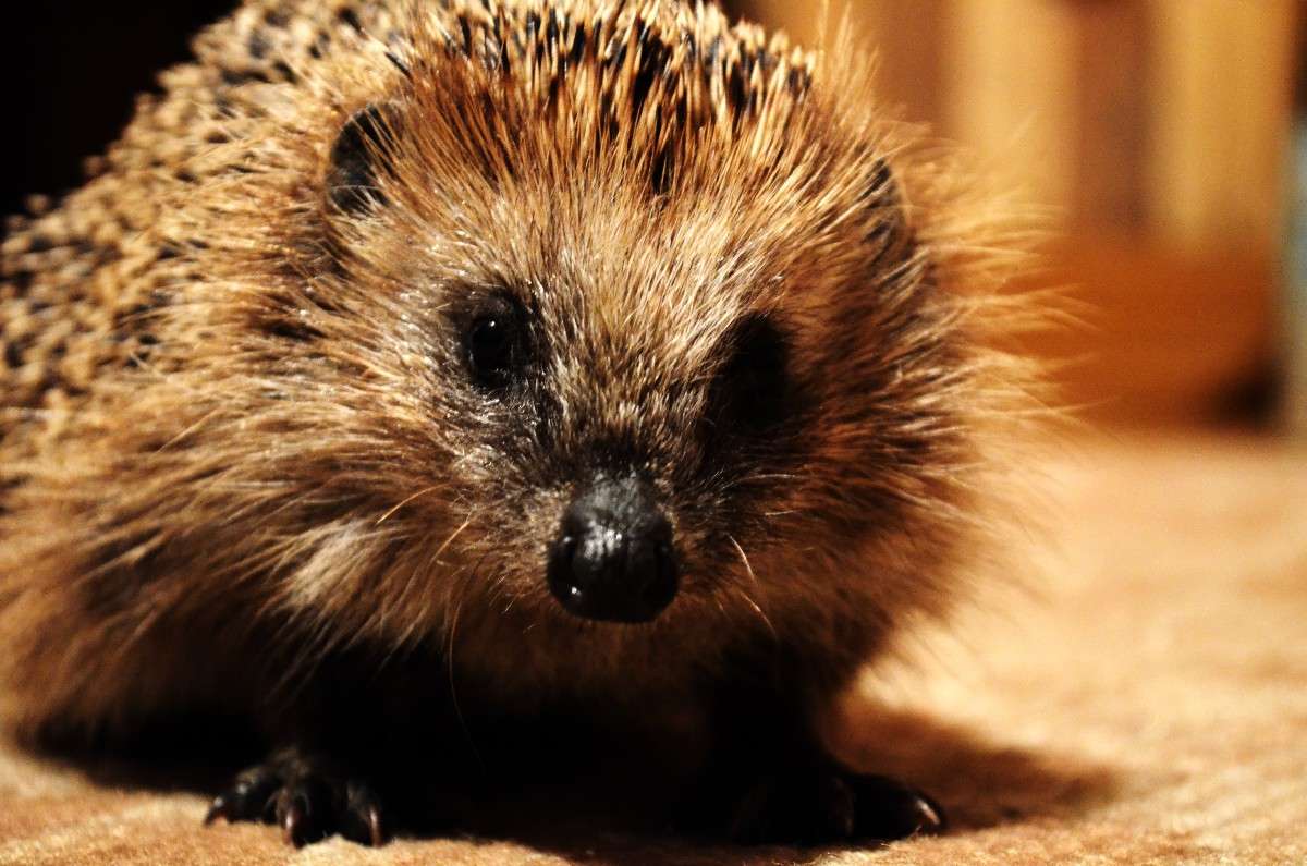 ������ ����. ����� ������ ������� �� PhotoGeek.ru #�������� ��� #����� ��� ��� ���������