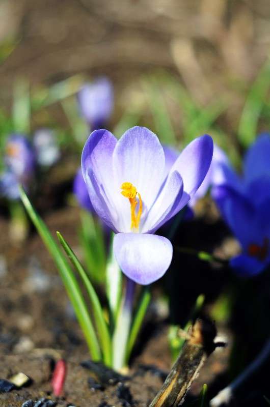 ... ����� ������ ������� �� PhotoGeek.ru #������ ��� ������� #����� ��������������