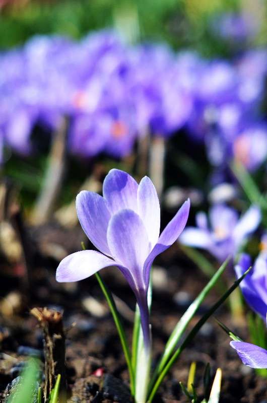 ������. ����� ������ ������� �� PhotoGeek.ru #������ ��� ������� #����� ��������������