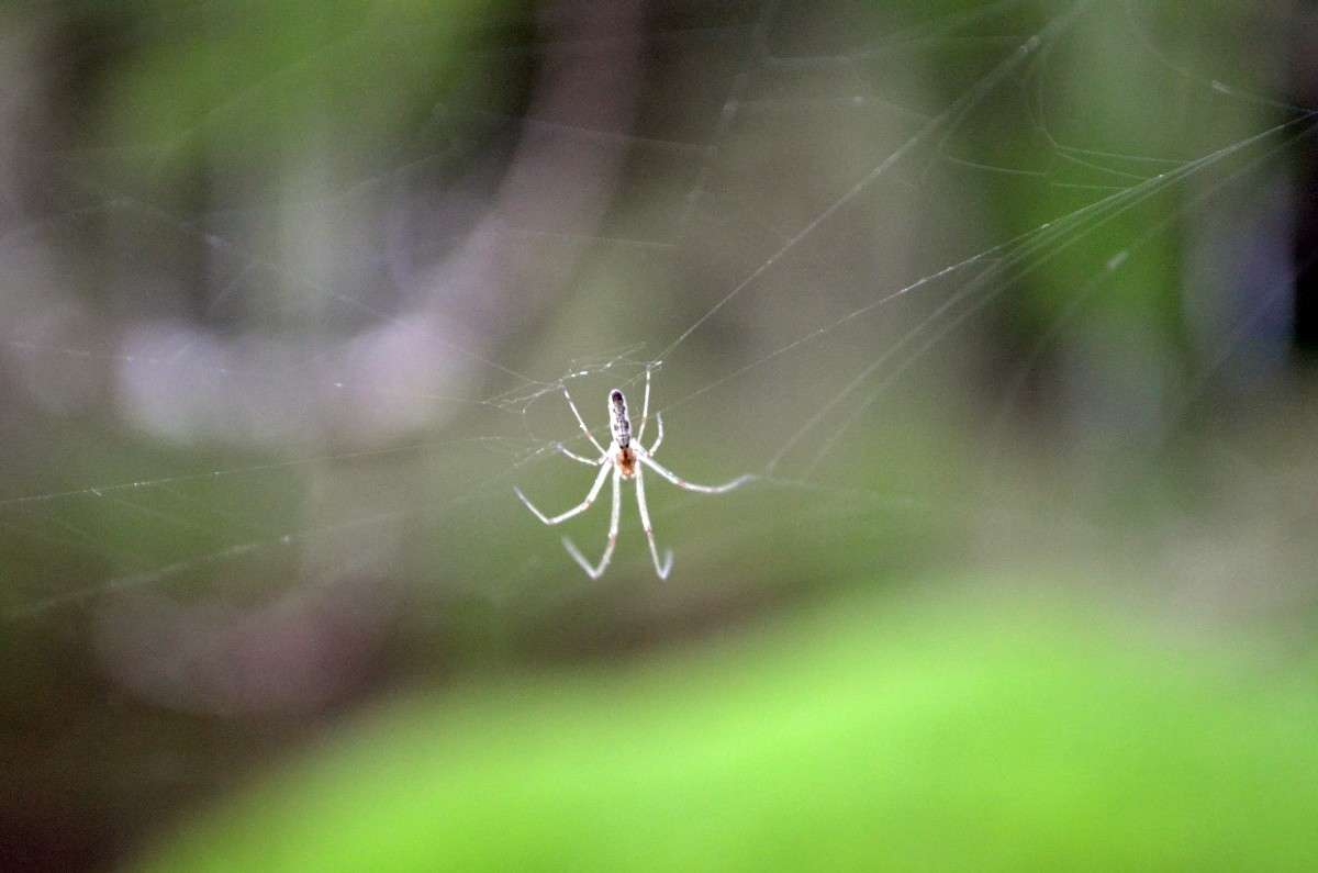 ... ����� ������ ������� �� PhotoGeek.ru #����� #�������� ���