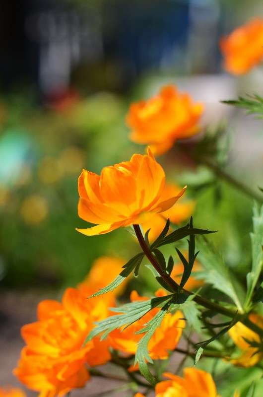 ... ����� ������ ������� �� PhotoGeek.ru #������ ��� ������� #����� ��������������