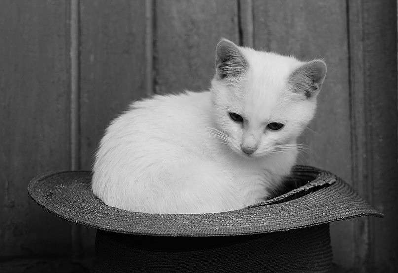 ������������ ����� St Rezkiy �� PhotoGeek.ru #�������� ��� #�������