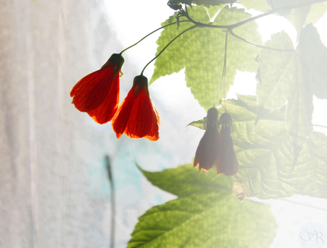 ���� ����� St Rezkiy �� PhotoGeek.ru #St.Rezkiy