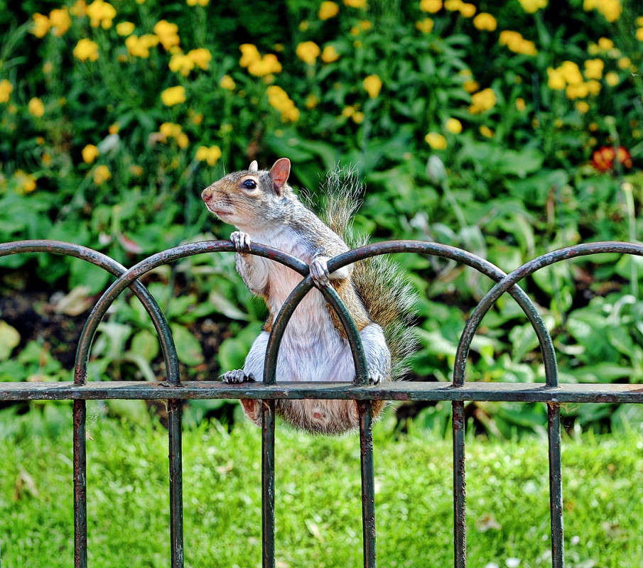 " � �� �����, ��� ������ ! " ����� ��������  �� PhotoGeek.ru #����� #�������� ��� #������ ��� ������� #�������� ���������� #����� ��� ��� ���������