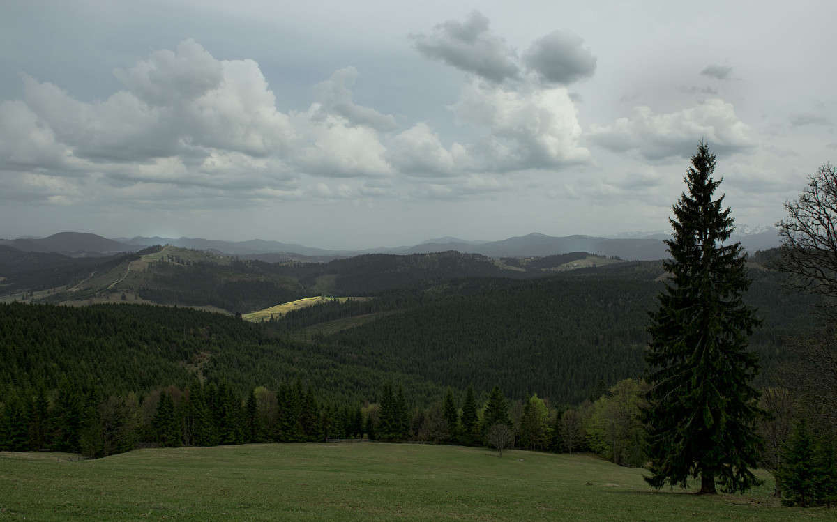 �������, �������� ����� ��������  �� PhotoGeek.ru #������ ��� ������� #����� �������������� #����� ��������