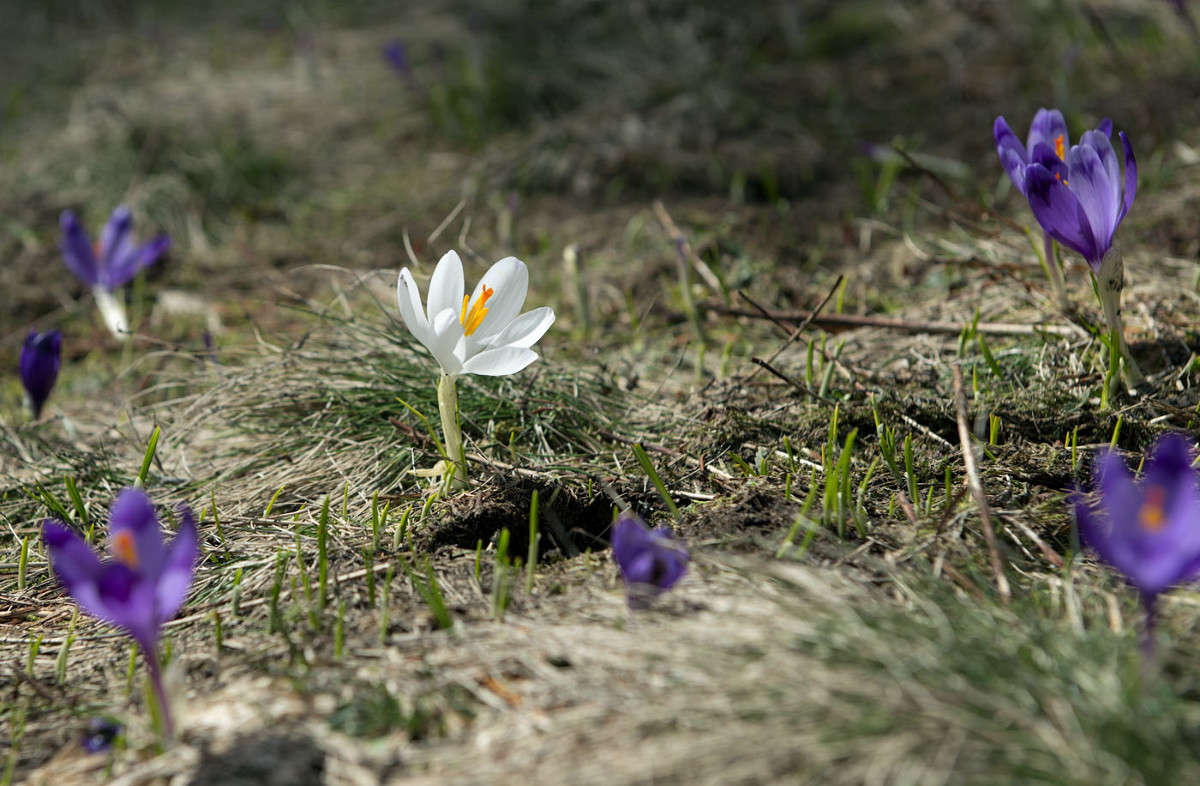 ���� ����� �����, ����� ����� ����� ����� ��������  �� PhotoGeek.ru #������ ��� ������� #����� �������������� #��������� #����� ��������