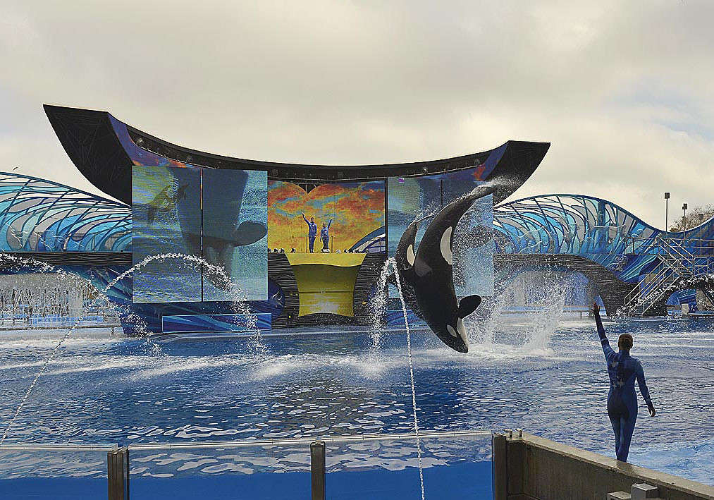 ��� ������� ����� ��������  �� PhotoGeek.ru #����� #�������� ��� #�������� ���������� #�������� #������ ����