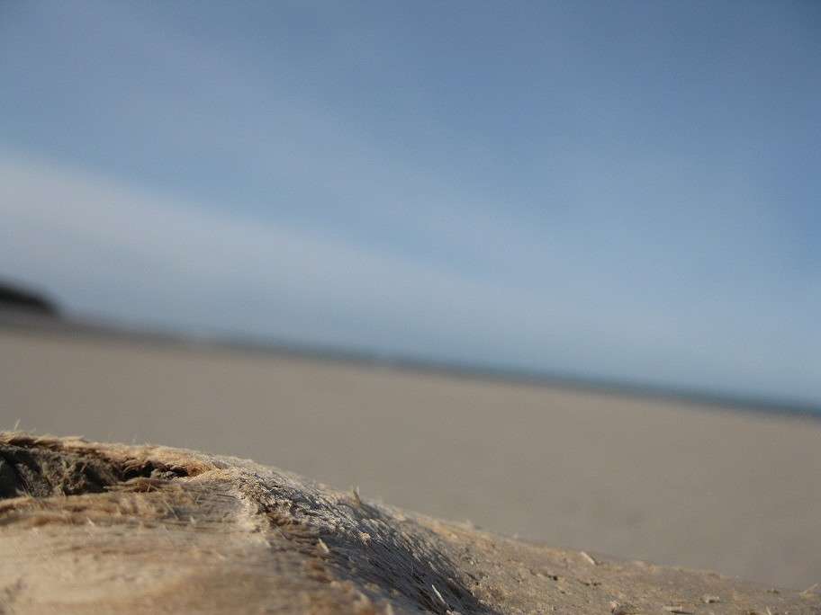 ... ����� sunshine  �� PhotoGeek.ru #����� #������ ��� �������