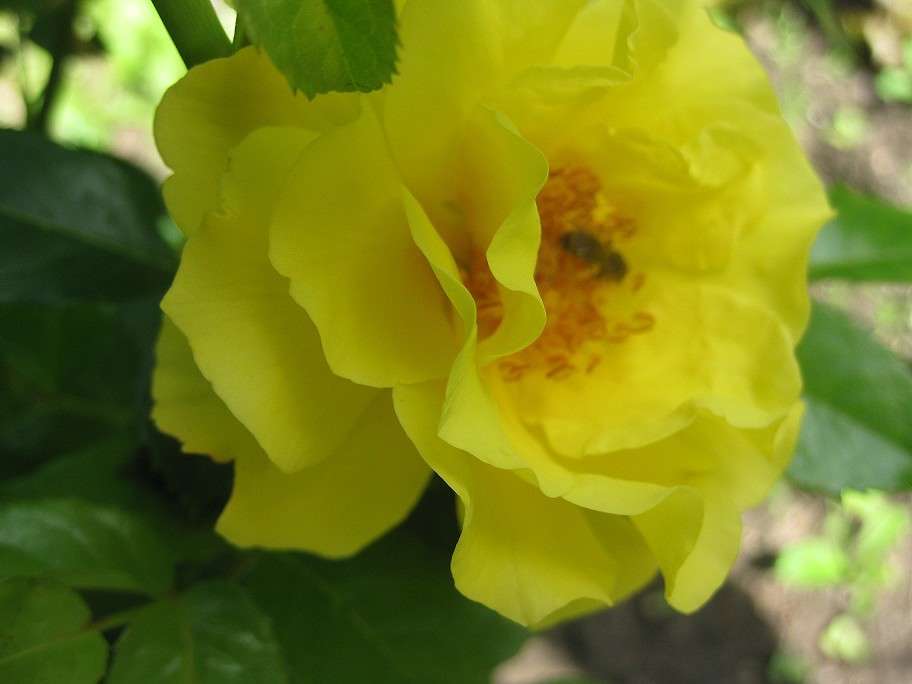 ... ����� sunshine  �� PhotoGeek.ru #������ ��� �������