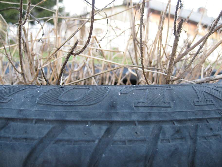 ... ����� sunshine  �� PhotoGeek.ru #������ ��� �������