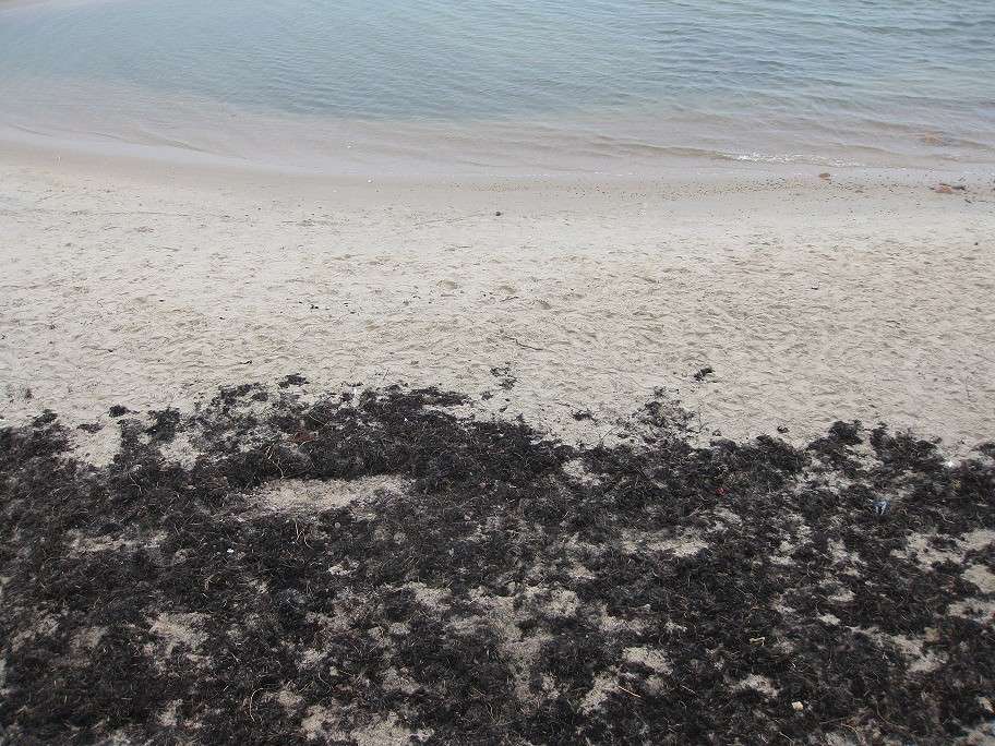 ... ����� sunshine  �� PhotoGeek.ru #������ ��� �������