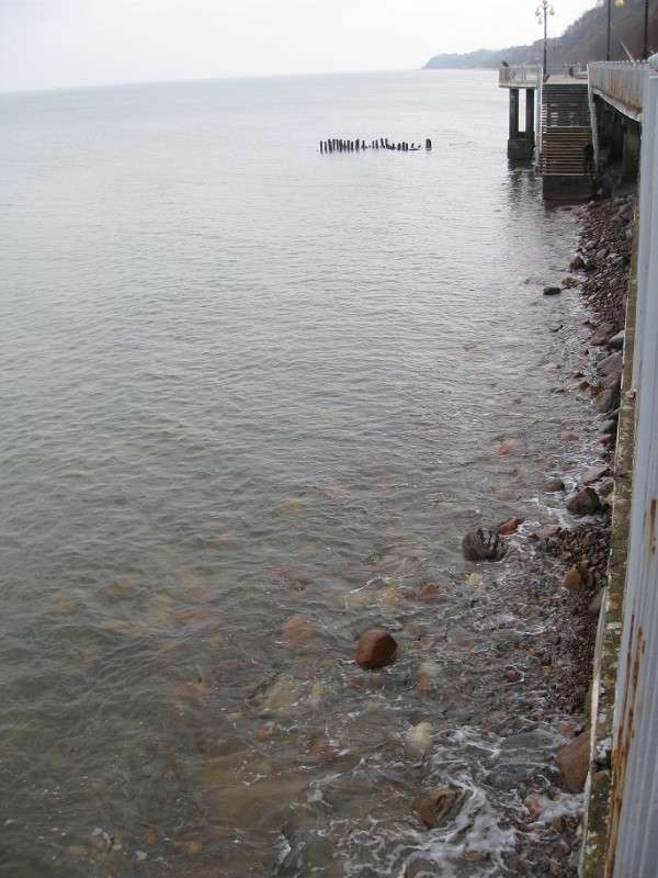 ... ����� sunshine  �� PhotoGeek.ru #������ ��� �������