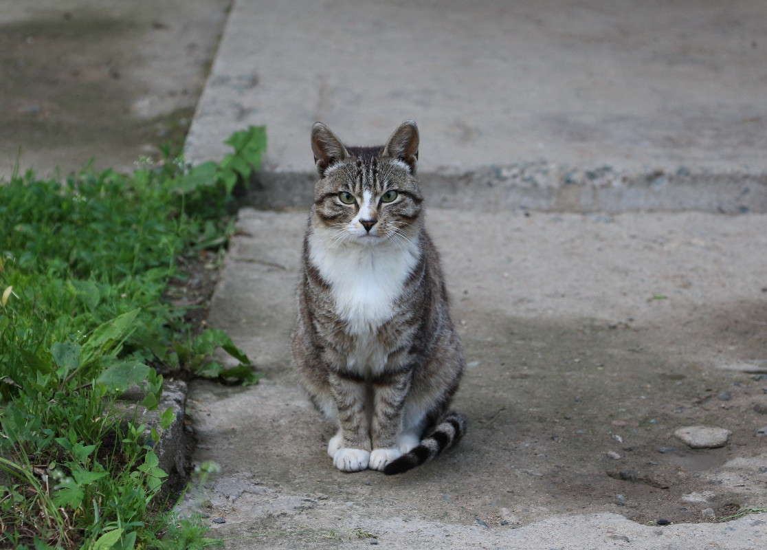 ... ����� ������ ������ �� PhotoGeek.ru #�������� ��� #�������� ���