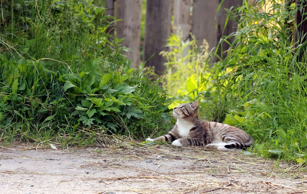 ����� ����� ������ ������ �� PhotoGeek.ru #�������� ���